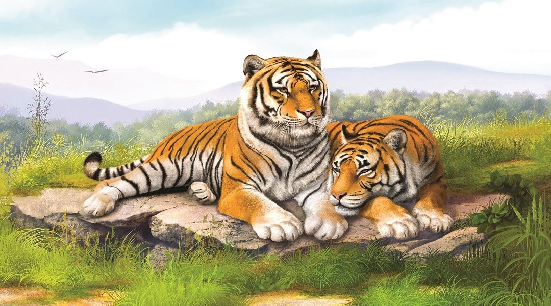 Chiêm bao thấy 2 con hổ đang săn mồi
