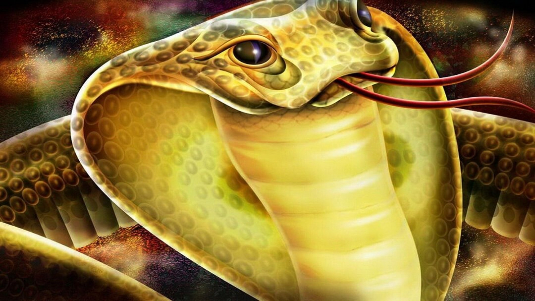 Con rắn mang ý nghĩa gì